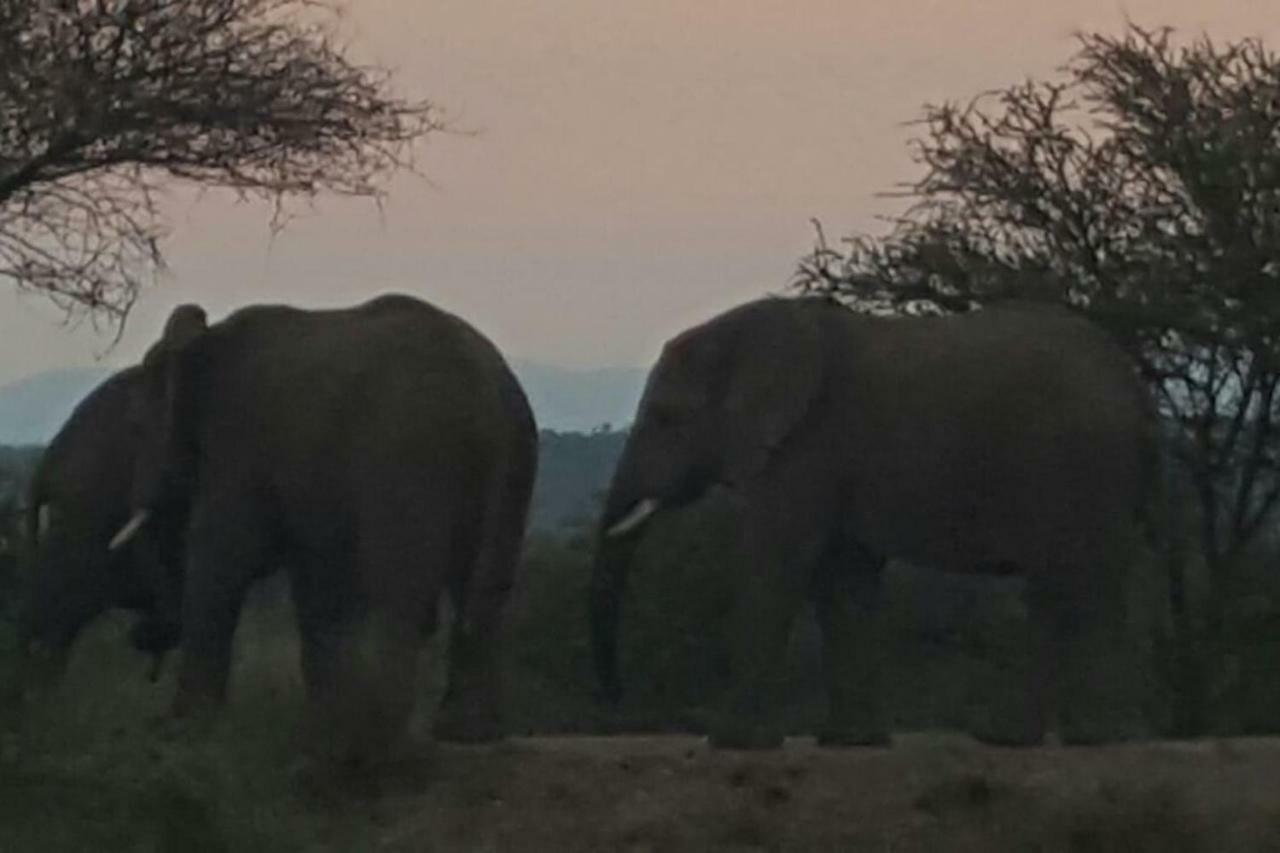 Willa Kubu Khaya Mabalingwe Mabula Game Reserve Zewnętrze zdjęcie